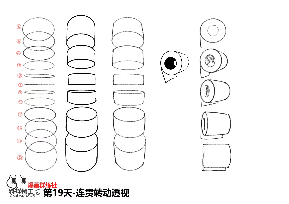 圆柱透视与卷纸