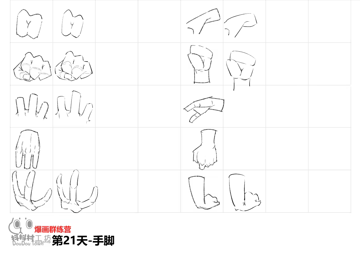 手蹼及内部轮廓